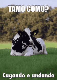 Cagando E Andando GIF - Cow Idk Idontcare GIFs