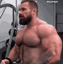pecs muscle male pecs muscle male