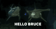 Bruce Hello GIF - Bruce Hello Finding GIFs