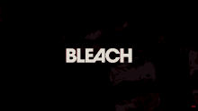 Bleach Anime GIF - Bleach Anime Ichigo GIFs