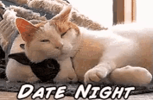 Cat Date GIF - Cat Date Flirt GIFs