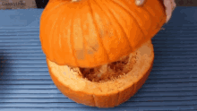 Pumpkin Squash GIF - Pumpkin Squash Open GIFs