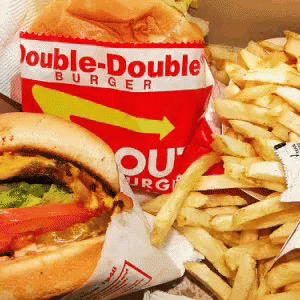 in-and-out-bruger.gif
