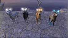 elder scrolls