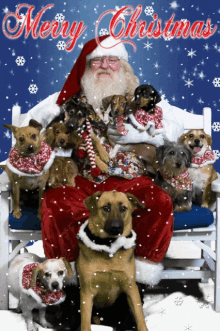 Santa Santa Claus GIF - Santa Santa Claus Santa And Dogs GIFs
