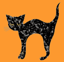 Black Cat Glittery GIF - Black Cat Glittery Stare GIFs