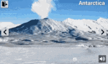 Antartica GIF - Antartica GIFs