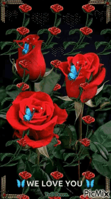 Roses Red GIF - Roses Rose Red GIFs