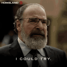 I Could Try Mandy Patinkin GIF - I Could Try Mandy Patinkin Saul Berenson GIFs