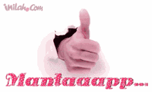 Inilah Mantap GIF - Thumbs Up Leonard Big Bang Theory GIFs
