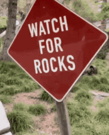 The Rock The Rock Surprise GIF - The Rock The Rock Surprise The Rock Sus GIFs