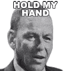 Hold My Hand Frank Sinatra Sticker - Hold My Hand Frank Sinatra Fly Me To The Moon Song Stickers