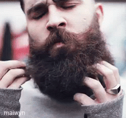 Beard Bearded GIF - Beard Bearded Hot - Discover &amp; Share GIFs