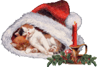 Jön A Mikulás Sleeping Kittens Sticker - Jön A Mikulás Sleeping Kittens Santa Hat Stickers