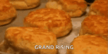 Grand Rising GIF - Grand Rising King GIFs