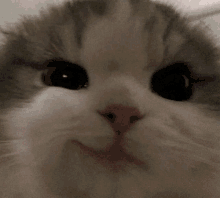felix skz
