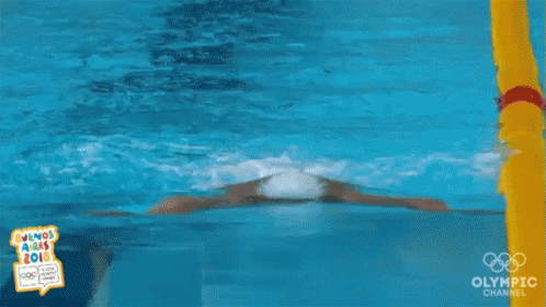Swimming Stroke GIF.