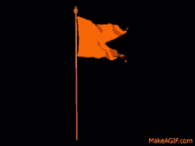 bhagwa