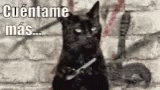 Salem Cuéntame Mas Cat GIF - Salem Cuéntame Mas Cat Tell Me More GIFs