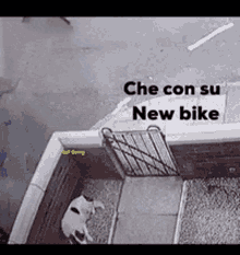 Bike Fail GIF - Bike Fail Fail Bike GIFs
