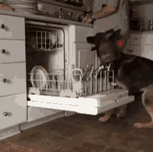 Excited Dog GIF - Excited Dog Helper GIFs