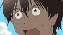 What Is Going On Summer Wars GIF - What Is Going On Summer Wars World Of Oz GIFs