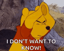 Winnie The Pooh Disney GIF - Winnie The Pooh Disney I Dont Want To Know GIFs