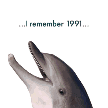 dolphin leviathan