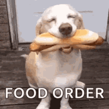 Cute Dog Hotdog GIF - Cute Dog Hotdog Food Order GIFs