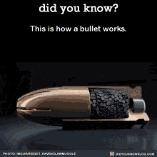 bullet bullet