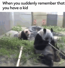 when you suddenly remember you have a_kid motherhood funny animals pandas cute