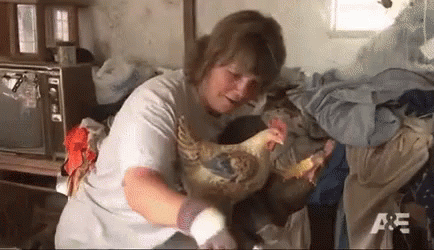 Chicken Hoarding Gif Hoarding Hoarder Hoarders Discover Share Gifs