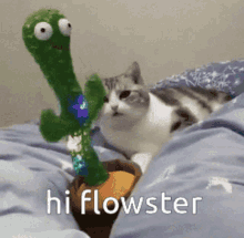 Hi Flowster She Is One Of My Friends GIF - Hi Flowster Flowster She Is One Of My Friends GIFs