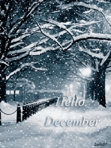 Hello December GIFs | Tenor
