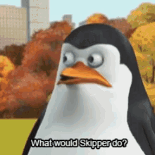 Penguins Of Madagascar Private GIF - Penguins Of Madagascar Private What Would Skipper Do GIFs