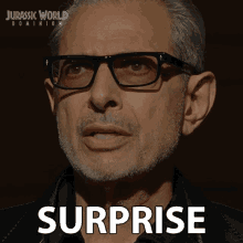 Surprise Ian Malcolm GIF - Surprise Ian Malcolm Jeff Goldblum GIFs