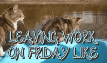 Leaving Work On Friday Like Off Work GIF - Leaving Work On Friday Like Off Work Jump For It GIFs
