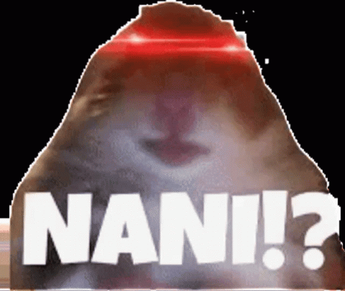 Nani Mouse GIF - Nani Mouse Mouse Funny GIFs