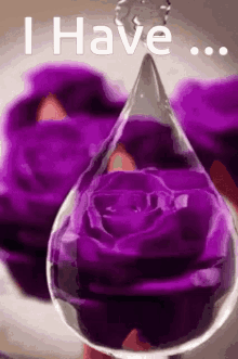 Flower I Have GIF - Flower I Have Water Drop GIFs