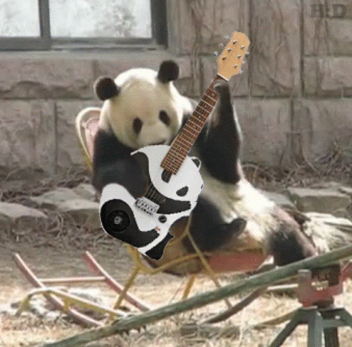 panda-guitar.gif