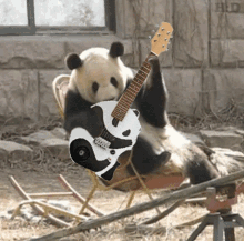 Panda Guitar GIF - Panda Guitar Cool GIFs