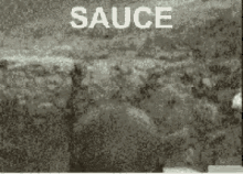 Sauce Scream GIF - Sauce Scream Angry GIFs