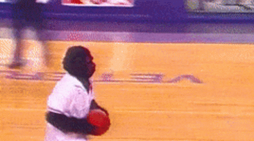 Phoenix Suns Gorilla GIF - Phoenix Suns Gorilla Dunk - Discover & Share GIFs