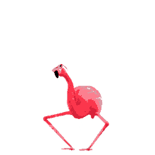 cool dancing