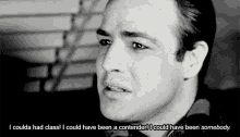 Oh Marlon, You Were Somebody. GIF - On The Waterfront Marlon Brando Contender GIFs