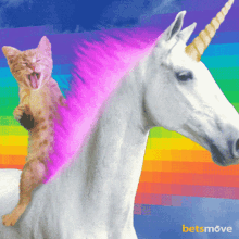 Horse Cat GIF - Horse Cat Ride It GIFs