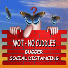 What No Cuddles Wot No Cuddles GIF - What No Cuddles Wot No Cuddles Bugger Social Distancing GIFs