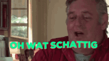 Oh Wat Schattig Hans Van Der Togt GIF - Oh Wat Schattig Hans Van Der Togt Televisie GIFs