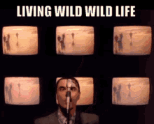 Talking Heads Wild Wild Life GIF - Talking Heads Wild Wild Life David Byrne GIFs