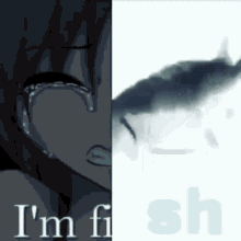 Fish Anime Girl GIF - Fish Anime Girl Sh GIFs